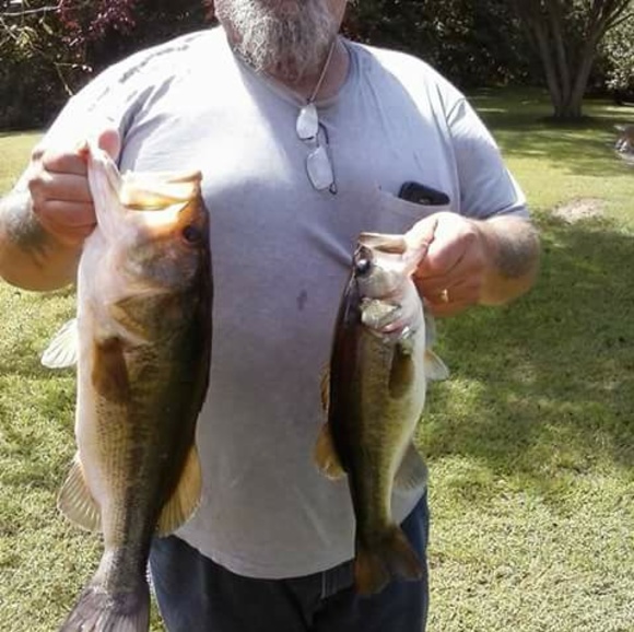 Meet your Posher, Albert - Picture 1 of 1